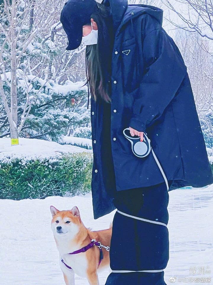 Dương Mịch hôm nay đăng hình ảnh vui vẻ với thú cưng 