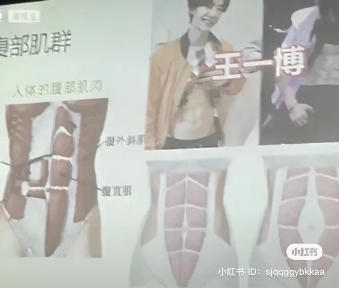 Mới đây, cư dân mạng xứ Trung có phen cười bò khi một cô giáo dạy bộ môn Sinh học lựa chọn Vương Nhất Bác làm hình ảnh minh họa cho tiết dạy của mình.