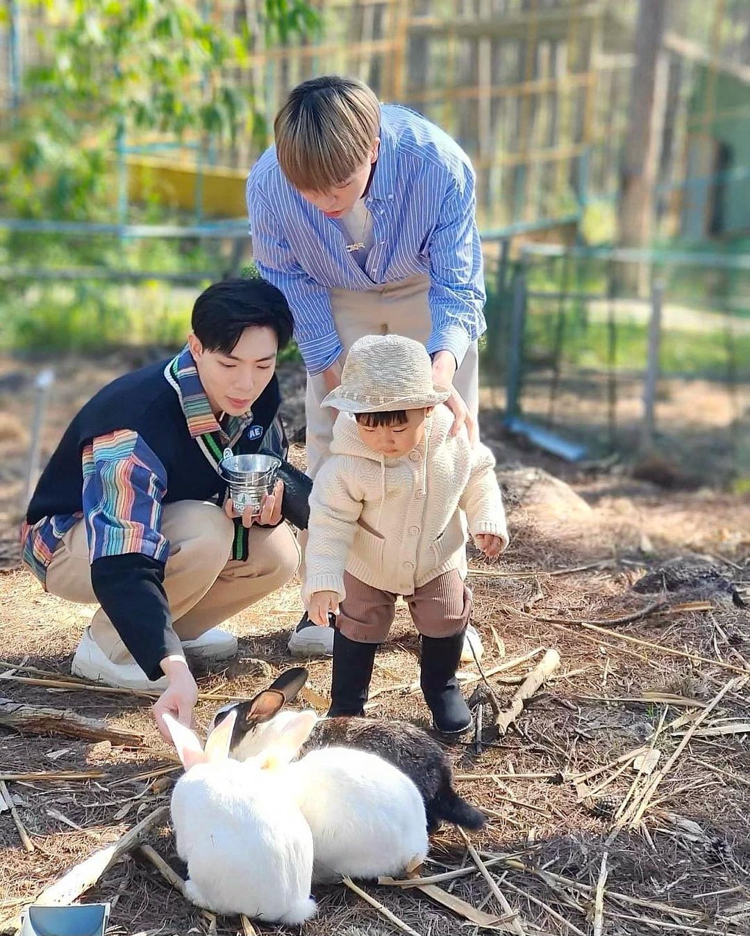 Tâm điểm bắt trọn mọi ánh nhìn của công chúng chắc chắn là bé Bo. Nhóc tỳ hóa thân thành một anh nông dân thực thụ khi tập tành cho thú ăn