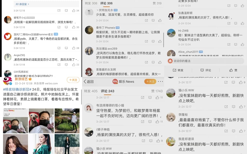 Ở dưới bài thông báo nữ diễn viên Dương Tử Quỳnh mắc Covid, có rất nhiều fan Dương Tử đã nhầm đây là thần tượng mình và để lại bình luận khen ngợi diễn xuất của Dương Tử trong bộ phim mới, đồng thời bày tỏ tình cảm với thần tượng. Sự nhầm lẫn này khiến cư dân mạng vừa buồn cười vừa thấy đáng trách vì quá bồng bột