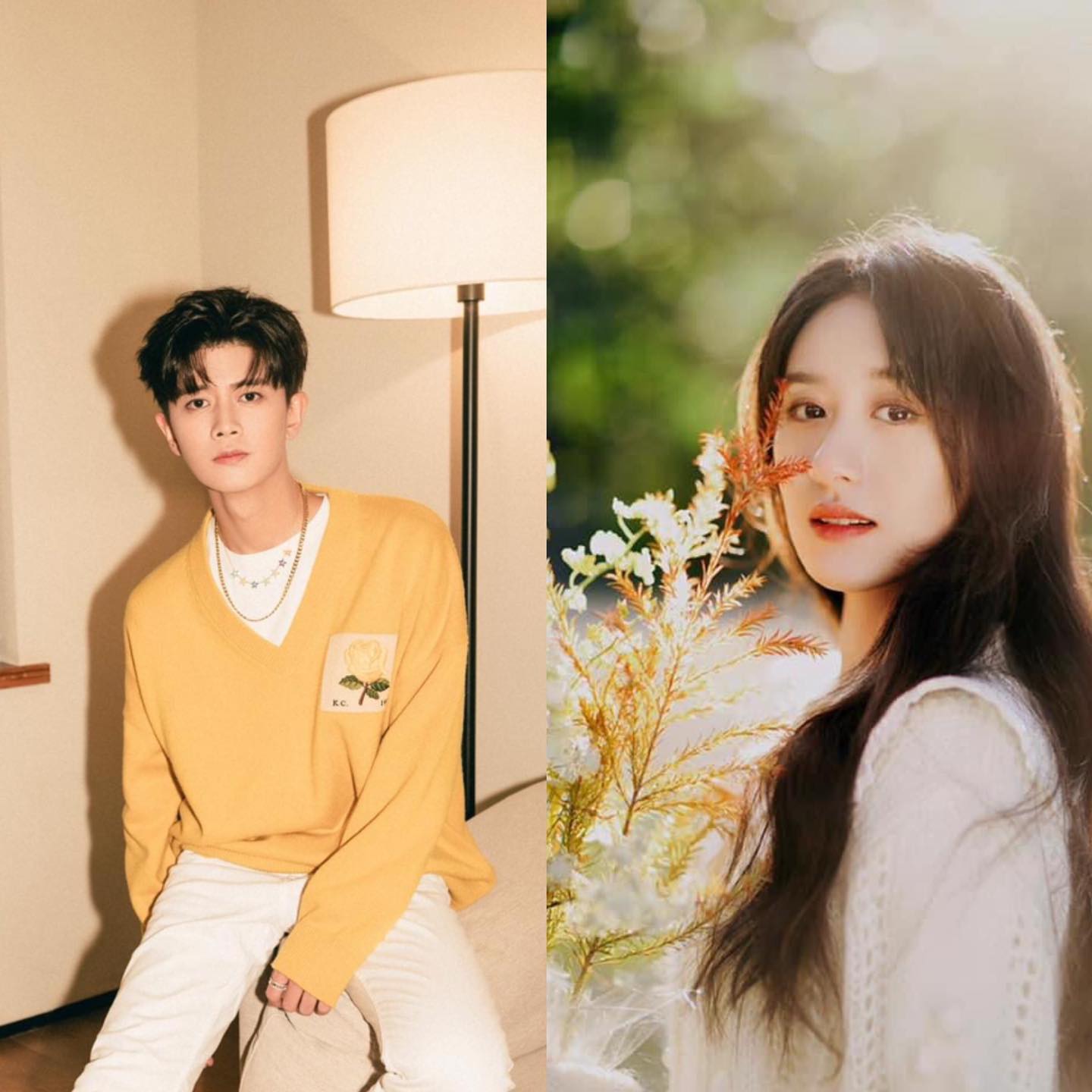 Dưa: Xuân Hoa Yếm sẽ do Nhậm Gia Luân, Viên Băng Nghiên đóng chính. Mặt khác Nhậm Gia Luân sẽ không để ý đến địa vị của bạn diễn, cũng không có ý định chuyển hình