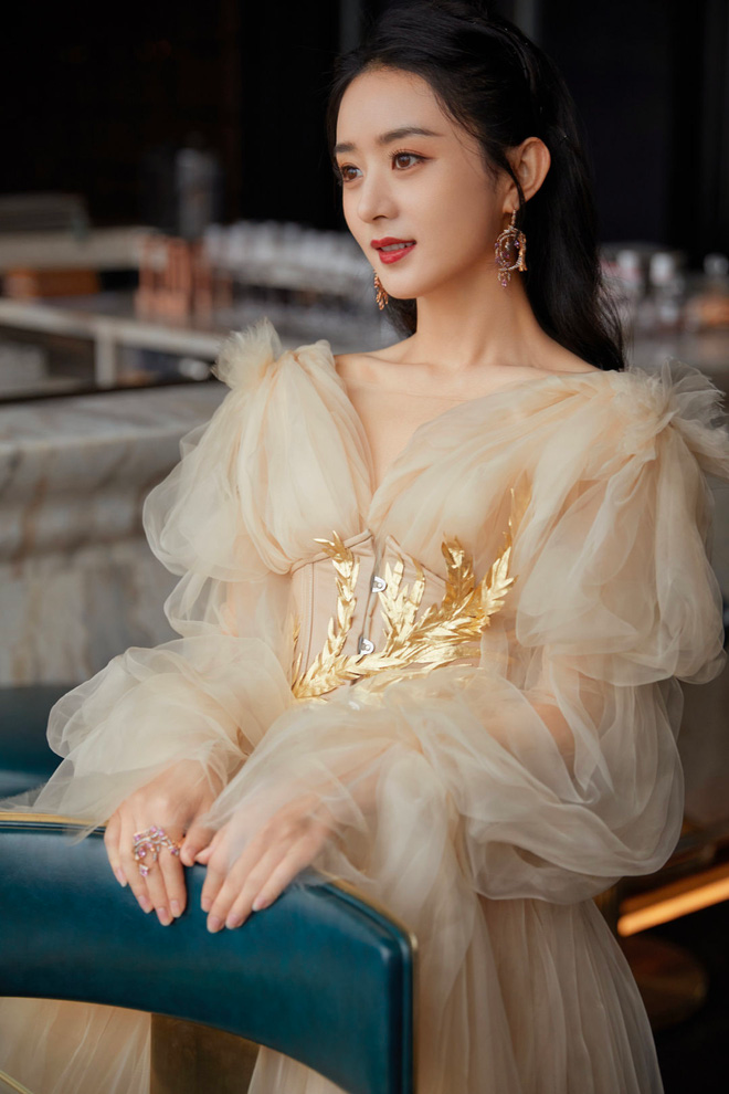 Mới đây văn phòng luật sư thông báo Triệu Lệ Dĩnh uỷ quyền cho luật sư khởi kiện người vu khống cô trốn thuế trên mạng