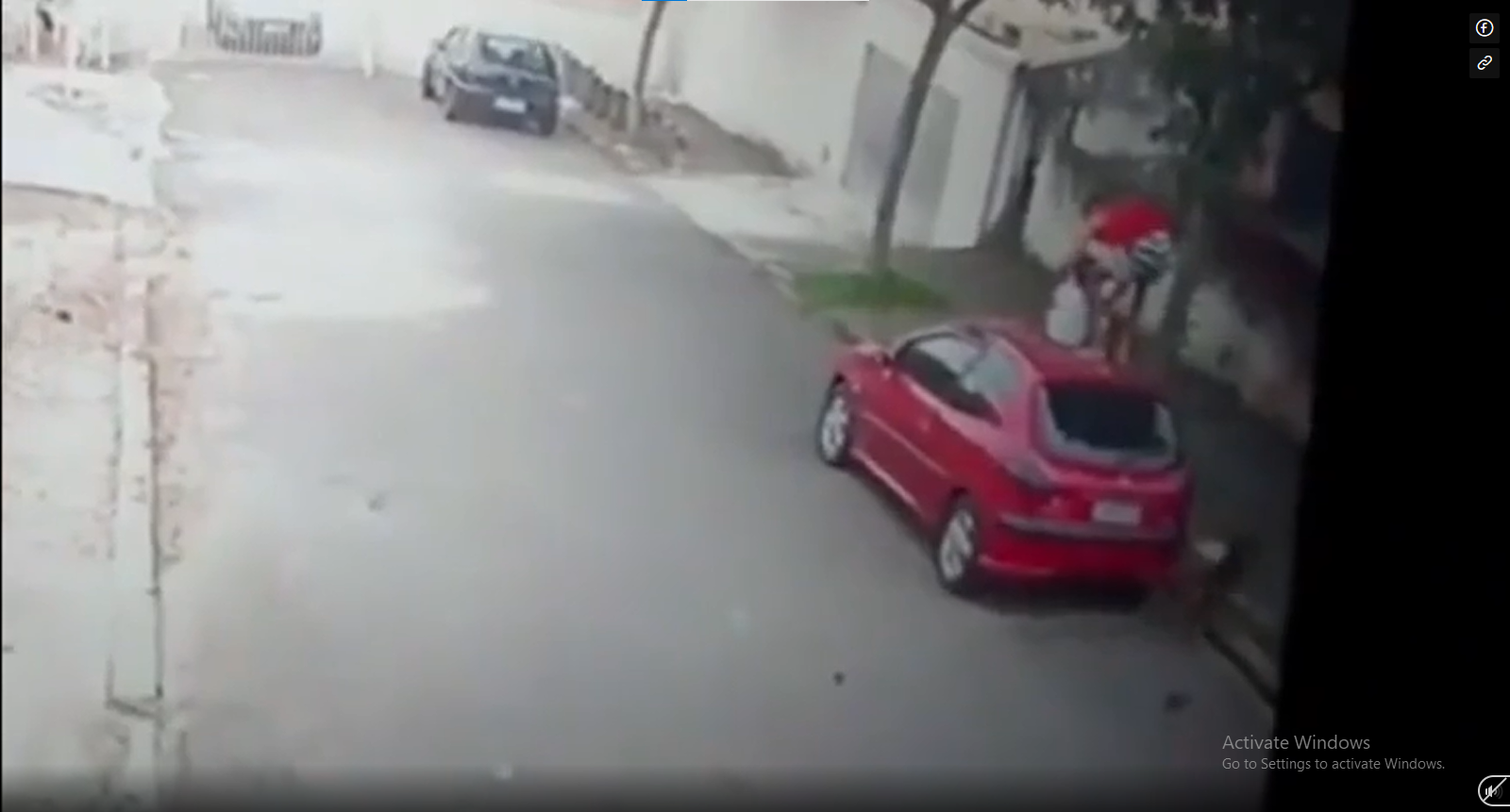 Dù đã leo lên cao, thế nhưng con chó hung hãn vẫn tiếp tục chờ chực để tấn công