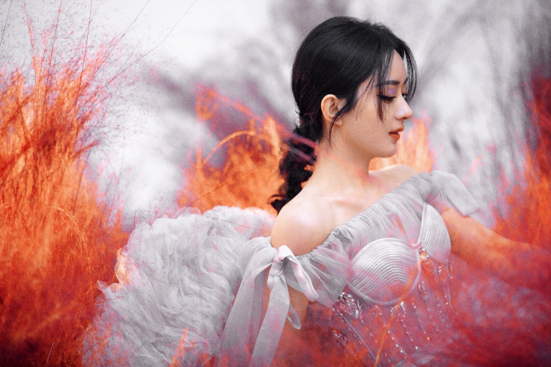 Dưa:  Nhiều đại fan của Triệu lệ Dĩnh rất có ý kiến đối với việc cô ấy nhận phim Dữ Phượng Hành