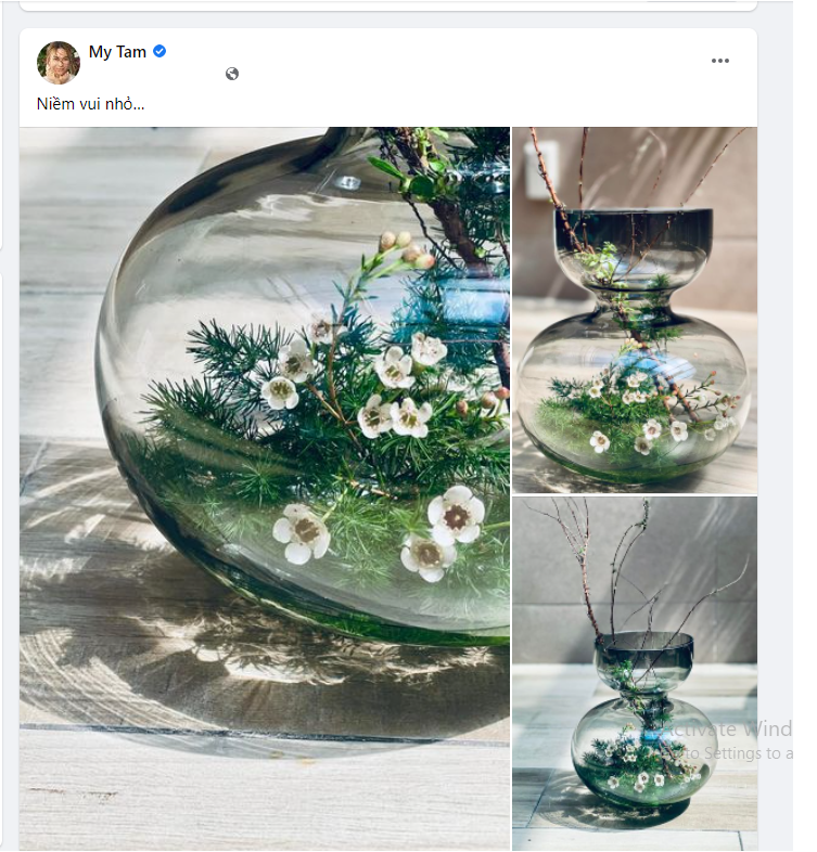 Mỹ Tâm khoe thú vui của bản thân lên trang cá nhân Mỹ Tâm khoe thú vui của bản thân lên trang cá nhân