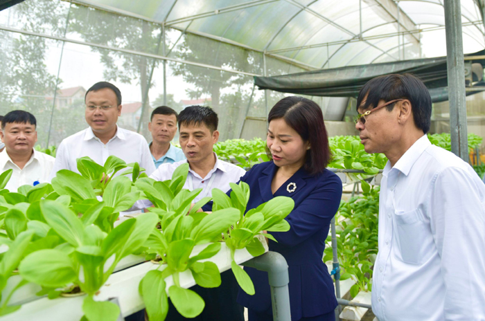 Phó Bí thư Thường trực Thành ủy Nguyễn Thị Tuyến thăm, kiểm tra tại Hợp tác xã rau hữu cơ Phú Cường Phó Bí thư Thường trực Thành ủy Nguyễn Thị Tuyến thăm, kiểm tra tại Hợp tác xã rau hữu cơ Phú Cường