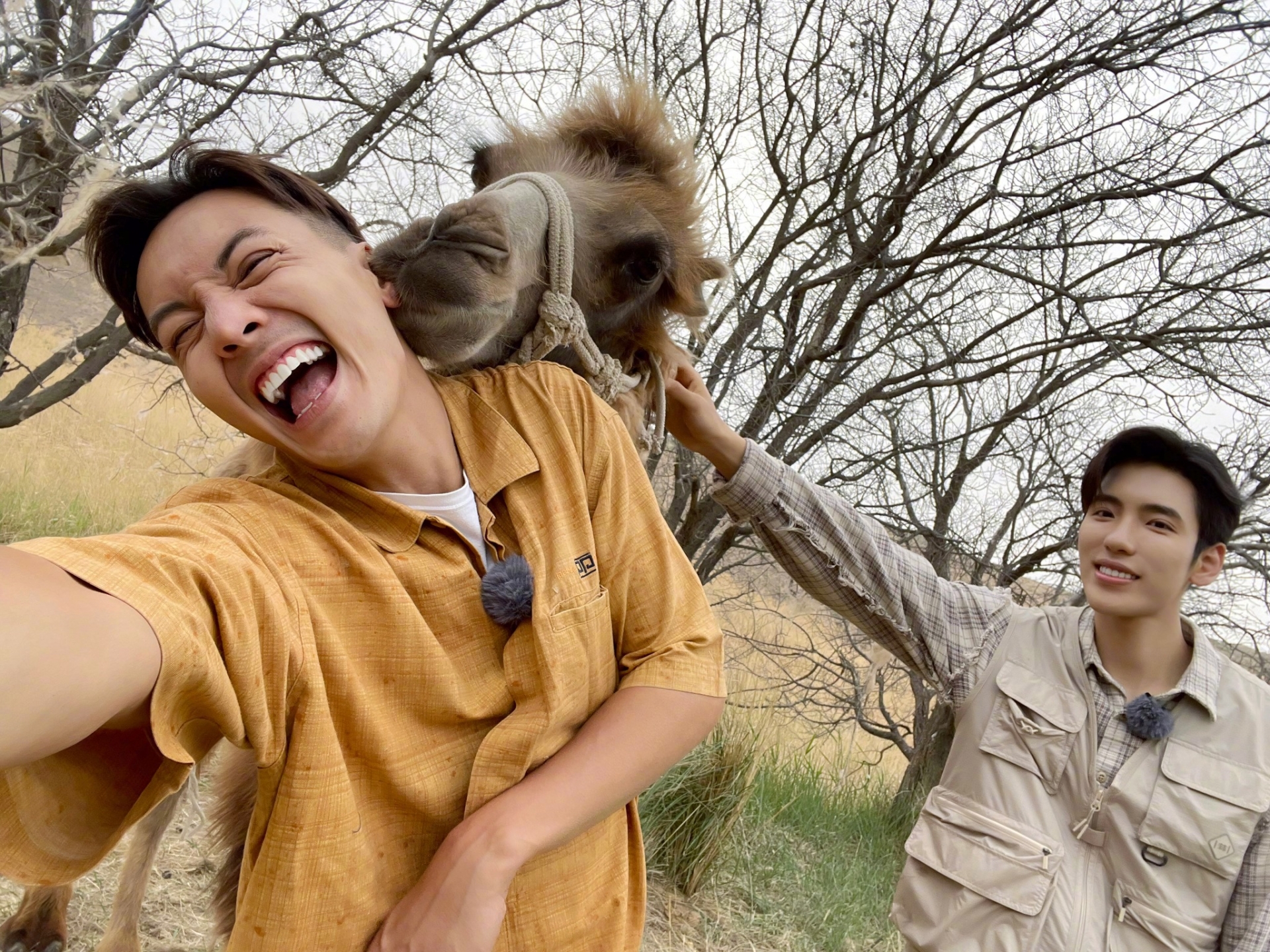 Hôm nay, Trần Vỹ Đình khiến người hâm mộ 'cười nghiêng ngả' khi chia sẻ ảnh tạo dáng lầy lội với lạc đà 