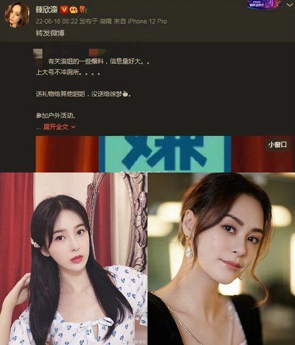 Chung Hân bị ném đá khi chia sẻ bài viết ám chỉ Triệu Anh Tử 