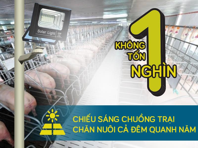 Đèn năng lượng mặt trời giải pháp chiếu sáng hiệu quả và tiết kiệm cho mọi gia đình - Ảnh 2 Đèn năng lượng mặt trời giải pháp chiếu sáng hiệu quả và tiết kiệm cho mọi gia đình - Ảnh 2