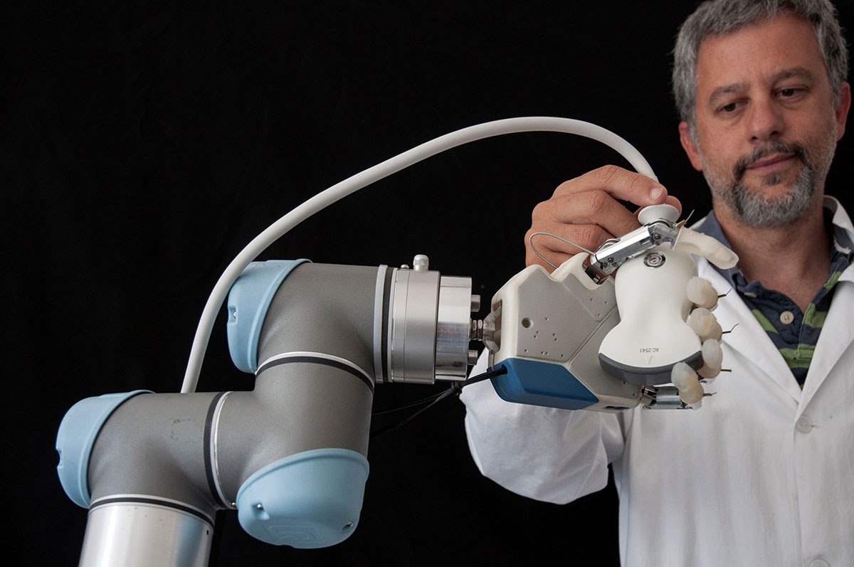 Cánh tay robot UR đã giúp ích gì cho các doanh nghiệp SME tại Việt Nam? - Ảnh 1 Cánh tay robot UR đã giúp ích gì cho các doanh nghiệp SME tại Việt Nam? - Ảnh 1