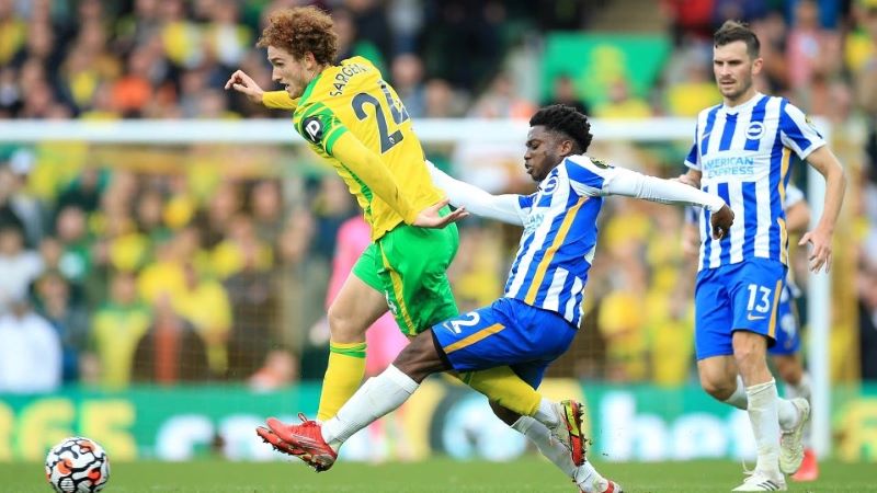 Nhận định Brighton vs Norwich (21h 02/04/2022) vòng 31 Ngoại hạng Anh Nhận định Brighton vs Norwich (21h 02/04/2022) vòng 31 Ngoại hạng Anh