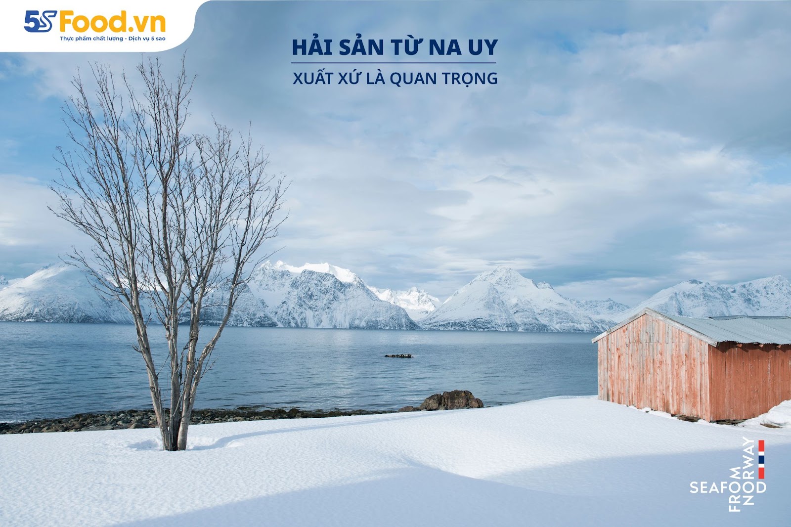 Khí hậu Na Uy khắc nghiệt, lại là môi trường tuyệt vời cho cá hồi - Ảnh 1