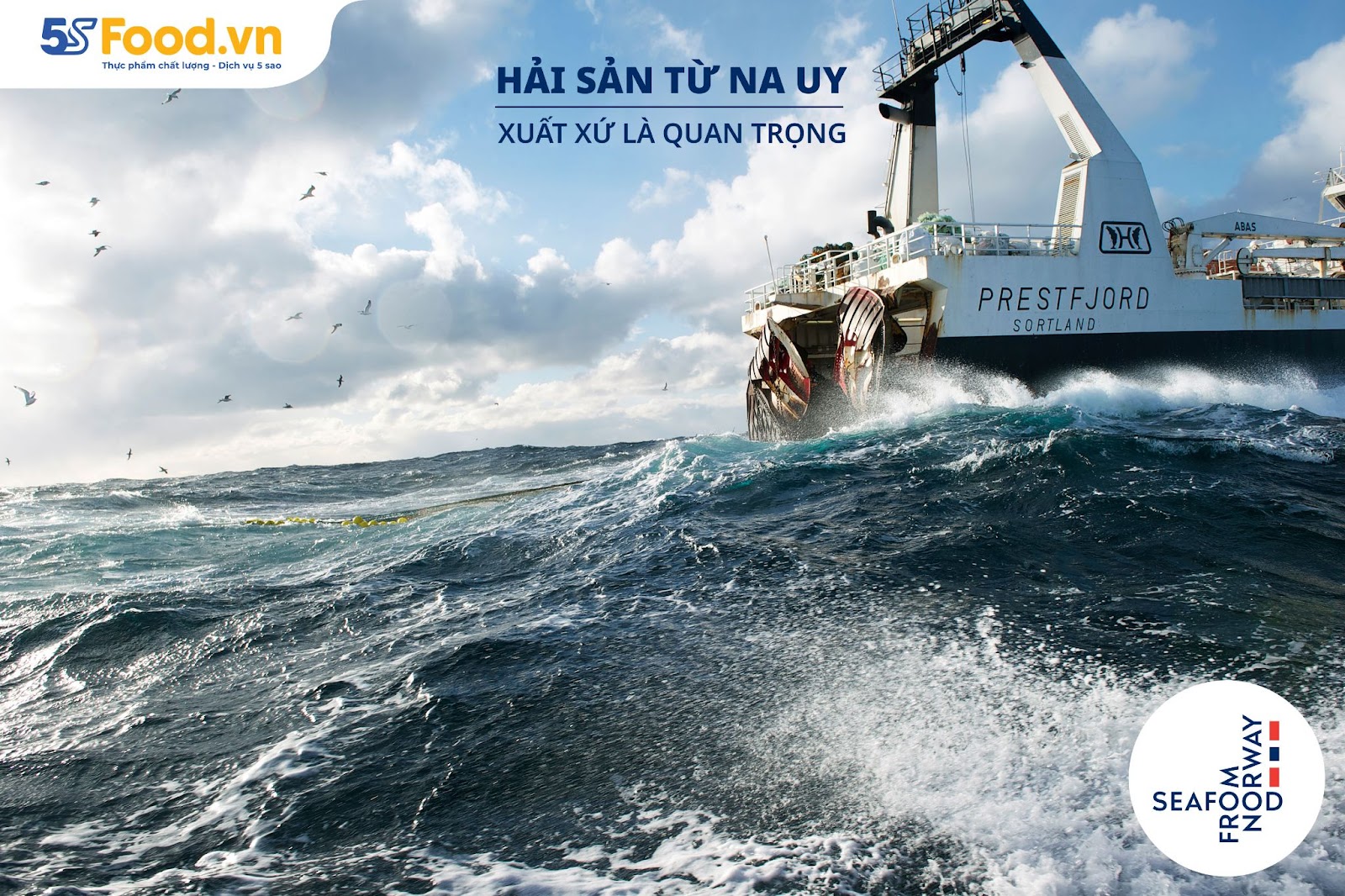 Khí hậu Na Uy khắc nghiệt, lại là môi trường tuyệt vời cho cá hồi - Ảnh 2