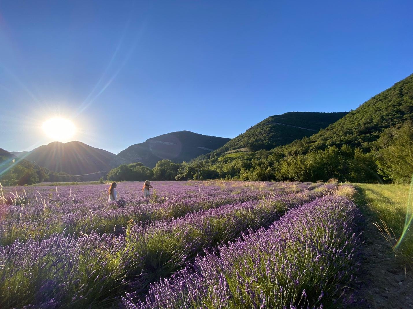 Xu hướng trải nghiệm khám phá các địa danh mới tại Châu Âu  - Ảnh 2