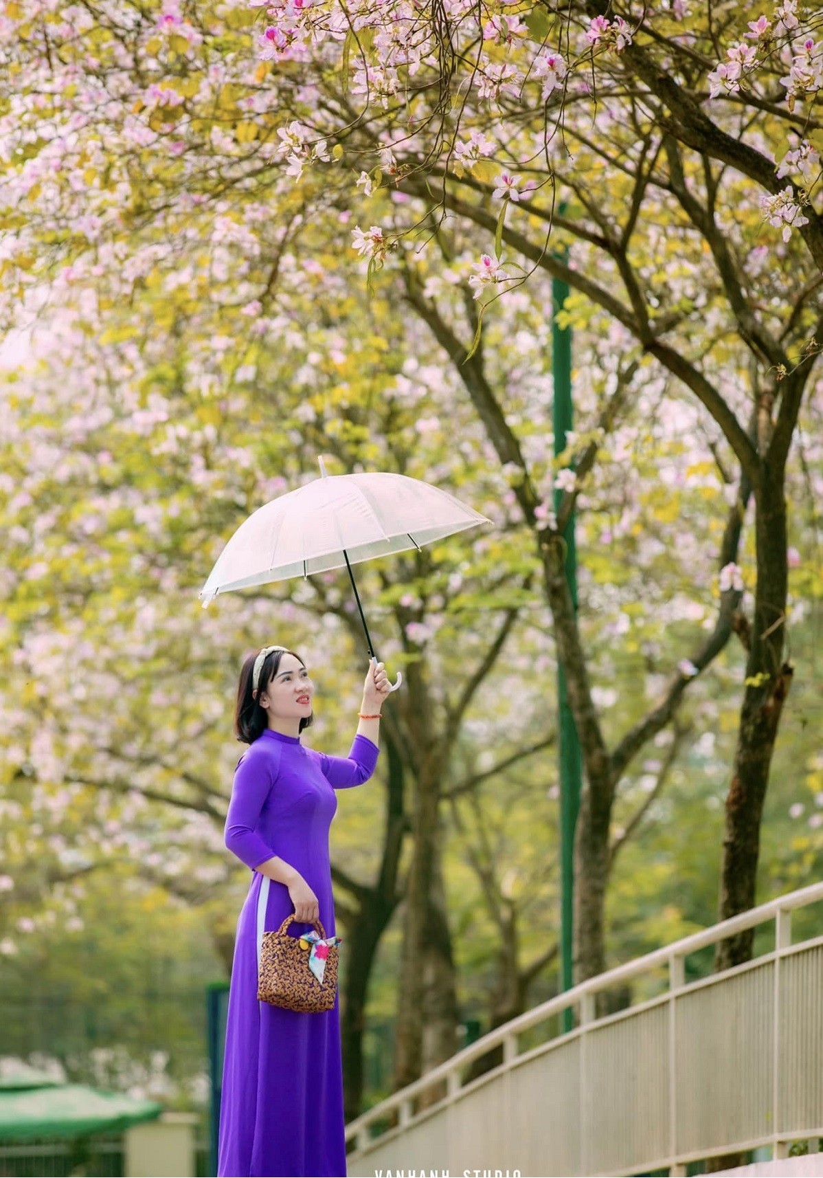 Ảnh: Tác giả Lan Vương