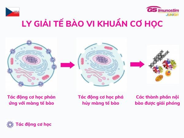 Bệnh truyền nhiễm hô hấp nguy hiểm ở trẻ em gia tăng khó lường 3 Bệnh truyền nhiễm hô hấp nguy hiểm ở trẻ em gia tăng khó lường 3