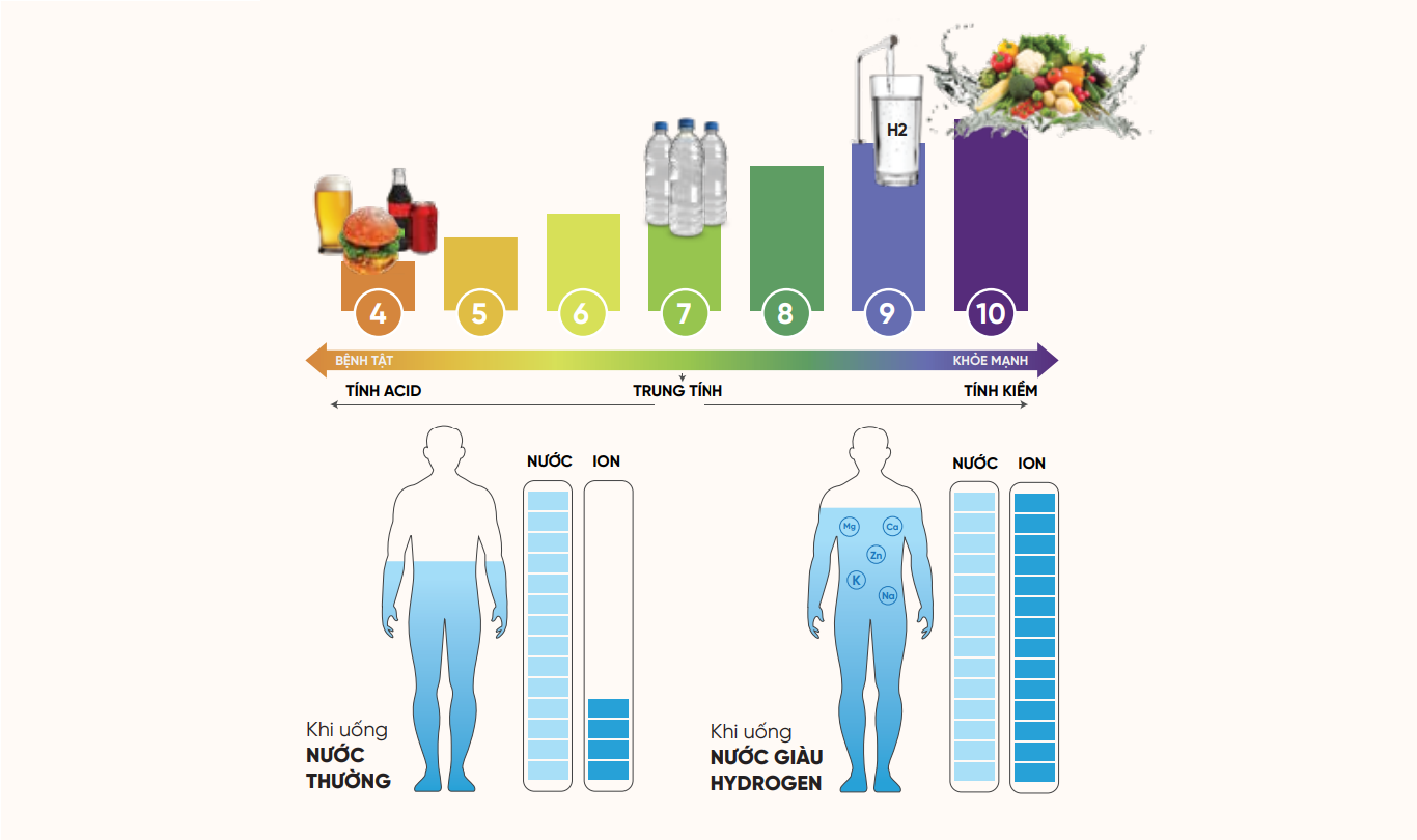 Máy lọc nước Mutosi Hydrogen Pro cho nước mang tính kiềm tự nhiên như rau xanh