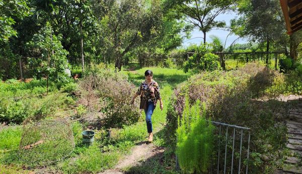 Cuộc sống hiện tại của BTV Thu Uyên 'Như chưa hề có cuộc chia ly' ở tuổi U60 - Ảnh 1 Cuộc sống hiện tại của BTV Thu Uyên 'Như chưa hề có cuộc chia ly' ở tuổi U60 - Ảnh 1