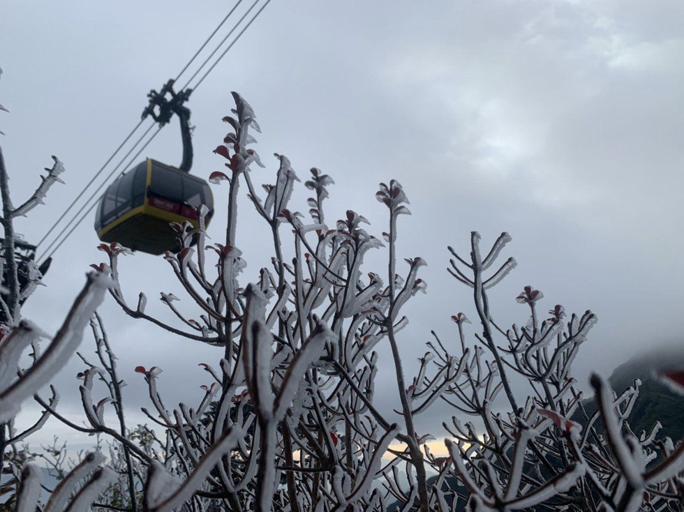 Từng cành cây đều được phủ lớp băng trắng xóa. Ảnh VTC News