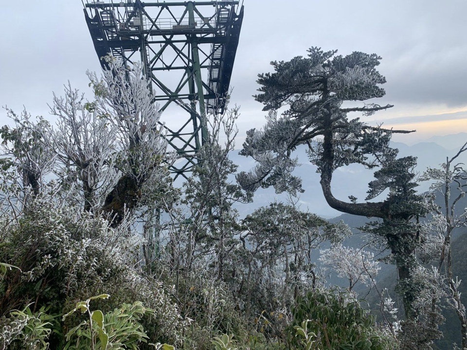 Trong đêm 17/12 và sáng sớm ngày 18/12 nhiệt độ tiếp tục giảm sâu, băng giá phủ trắng rừng Hoàng Liên Sơn và đỉnh Fansipan. Ảnh VTC News