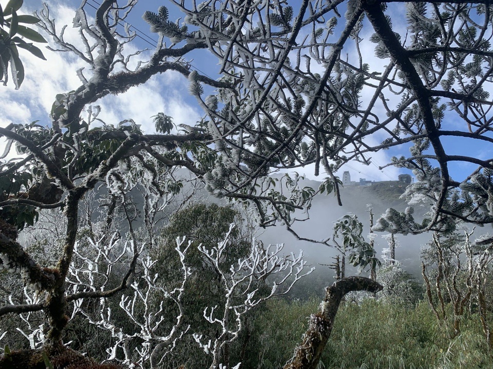 Đây là ngày thứ hai băng giá xuất hiện tại khu vực Fansipan tính từ đầu mùa đông đến nay. Ảnh Zing