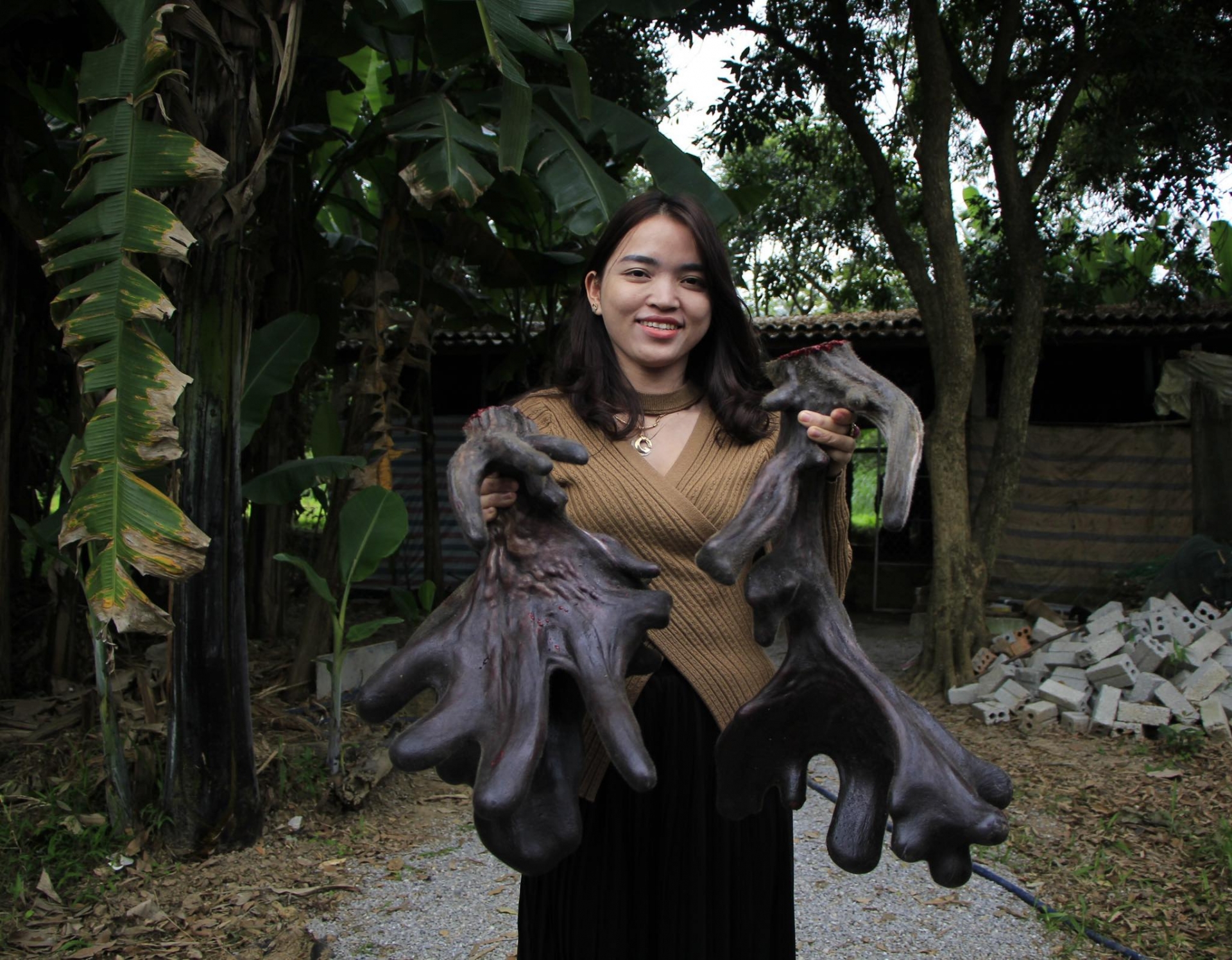 Cặp nhung nai đã được gia đình bán với giá gần 110 triệu đồng. Ảnh Thanh Thủy.