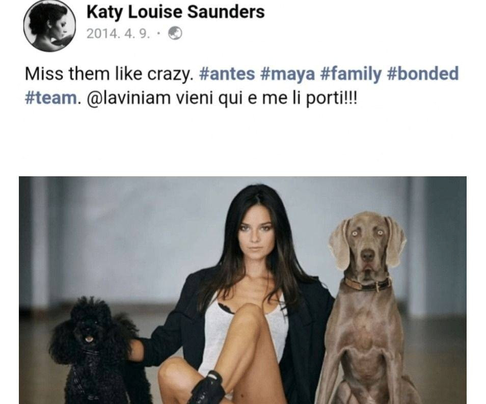 Trên trang cá nhân của bạn gái Song Joong ki từng khoe thú cưng.