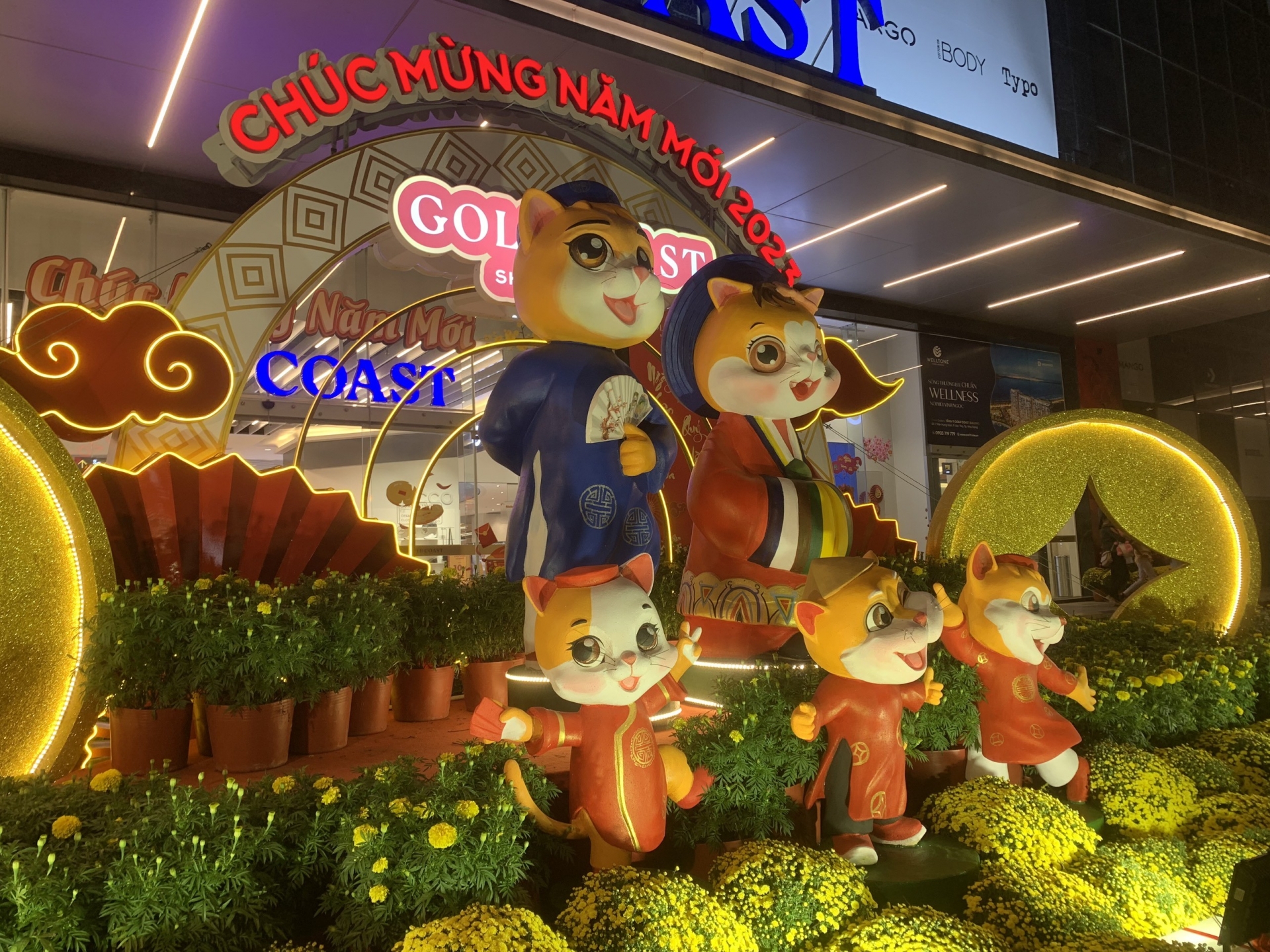 Một gia đình mèo đáng yêu.