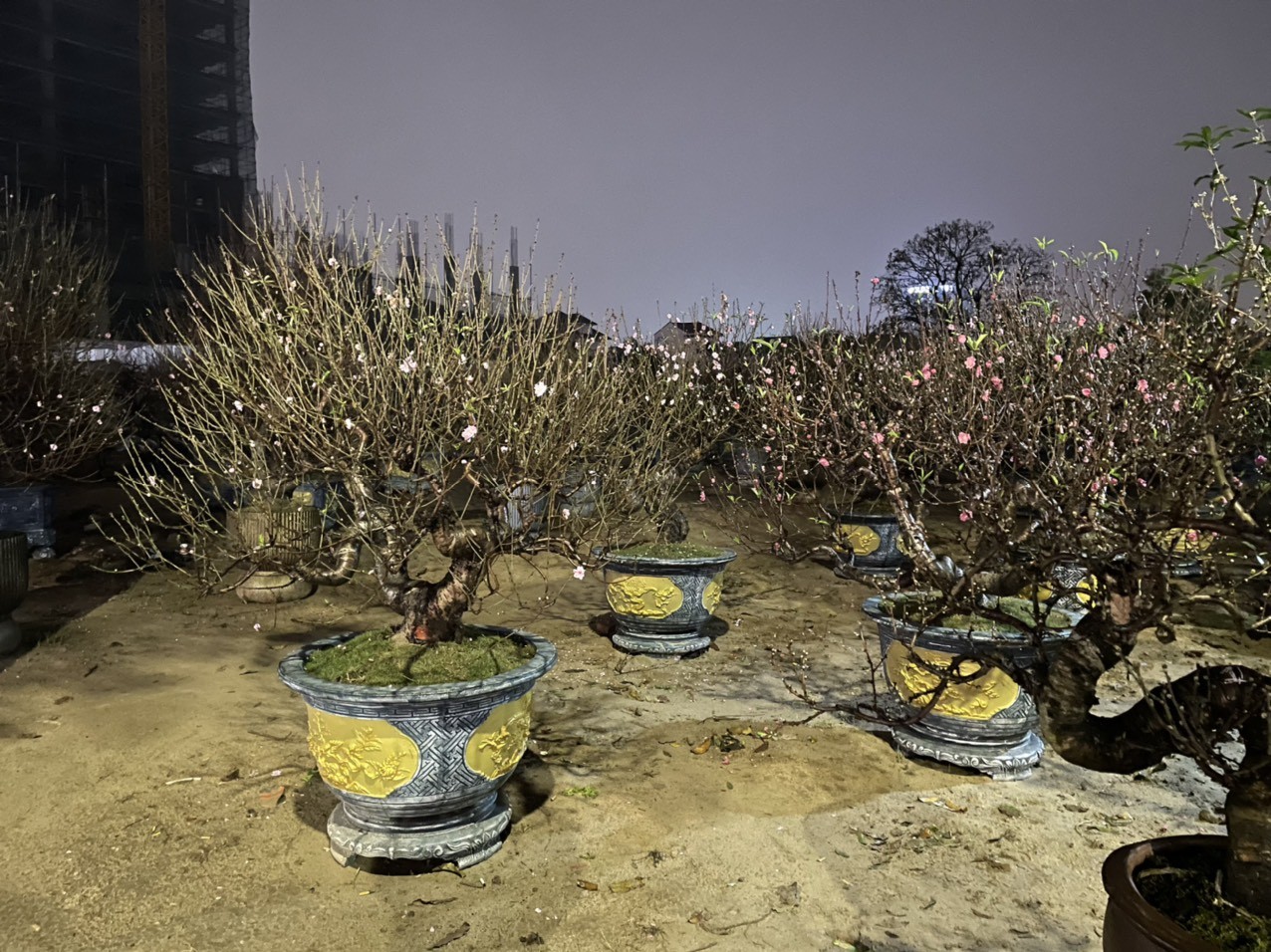 Người bán hàng hoa dịp Tết đủ thứ lo, lo vì thời tiết khắc nghiệt, lo ế ẩm, lo “hàng hoa” chỉ một chút bất cẩn là lỗ nặng. Những người này chấp nhận xa nhà ngày giáp Tết, chấp nhận trở về nhà muộn,...để chỉ mong kiếm chút thu nhập lo cho gia đình có một cái Tết ấm no.