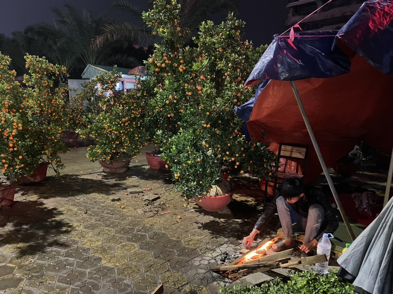 Theo các chủ cửa hàng, năm nay sức mua giảm nhiều... Trời về đêm, nhiệt độ xuống thấp, những người trông đào, quất phải nhóm lửa để bớt giá buốt.