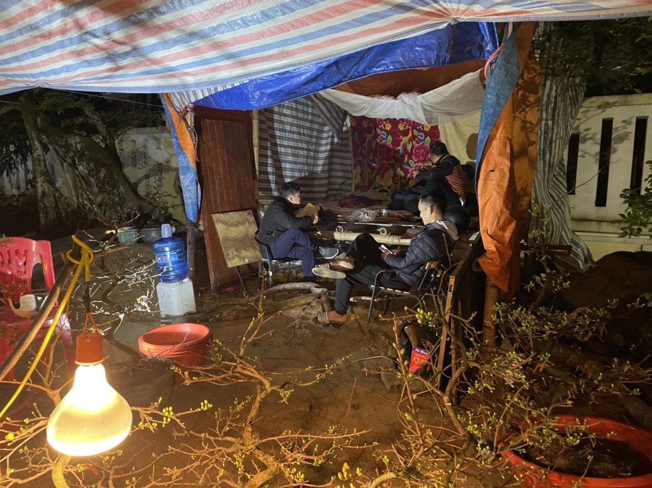 Mấy ngày nay, không khí lạnh tăng cường, thời tiết tại Nghệ An có mưa phùn, lạnh sâu, nhiệt độ giảm xuống đột ngột. Nhiều người bán hàng đào, quất, mai... trên các tuyến đường ở Tp.Vinh đã phải co ro trong cái lạnh, gió bấc...Họ đã phải dựng lều, đốt củi sưởi và chong đèn để sưởi ấm cho mai...