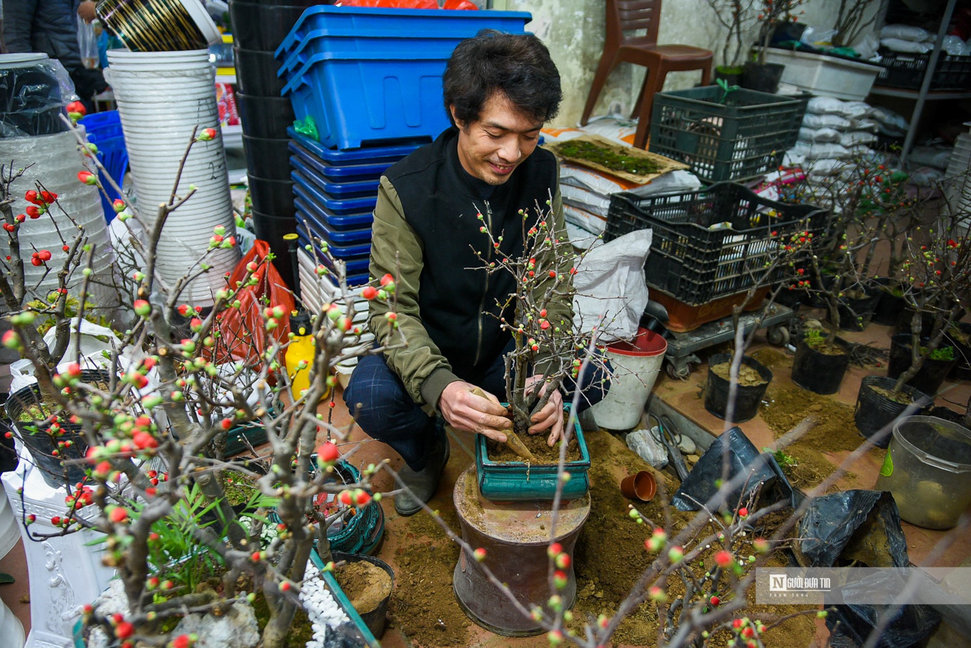 Chợ hoa phố Hoàng Hoa Thám nhộn ngày cuối năm - Ảnh 2