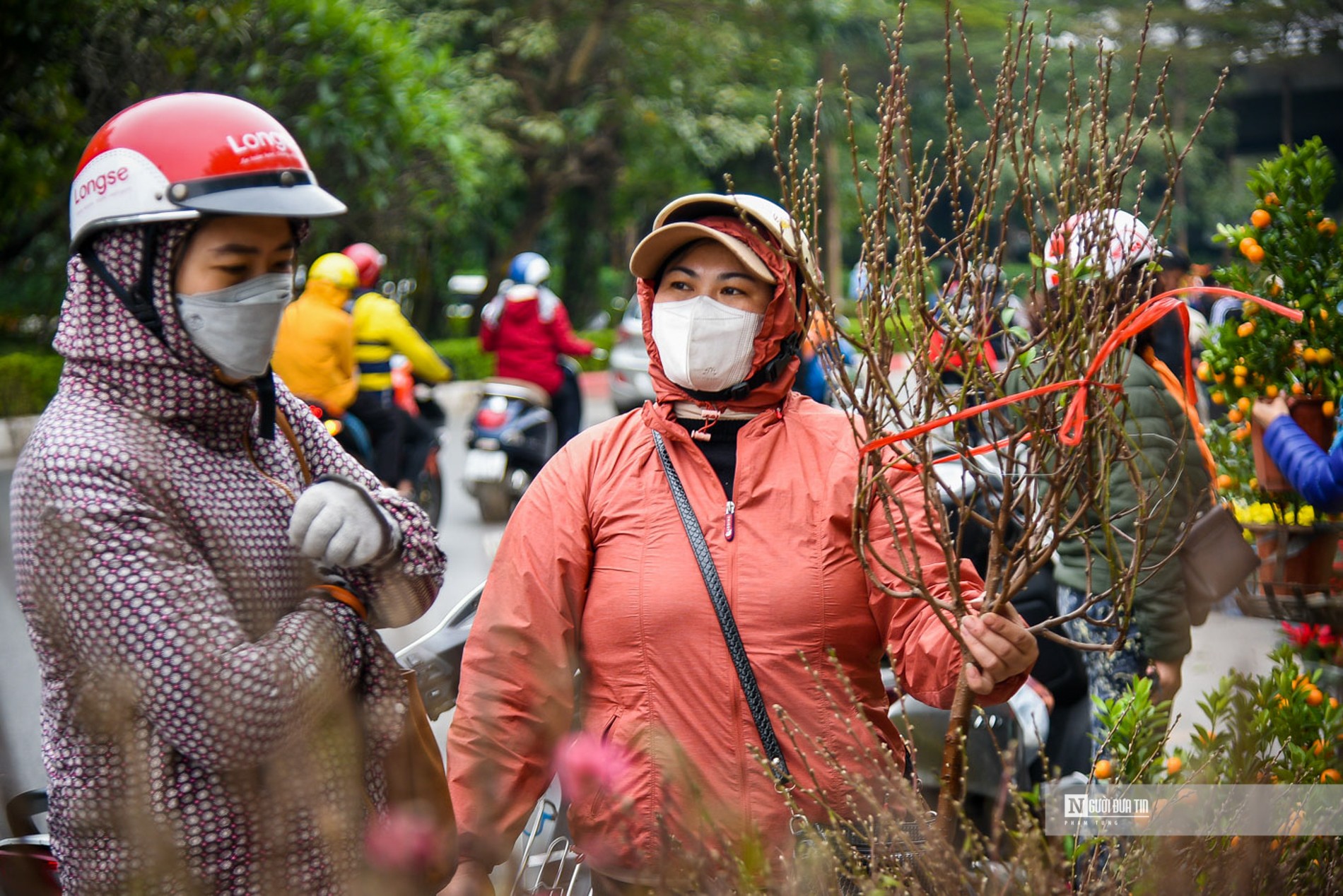 Đào, mai được bày bán nhiều trên chợ hoa Hoàng Hoa Thám. Được biết, đào năm nay có giá từ 400.000 - 1 triệu đồng/chậu tùy vào kích thước.