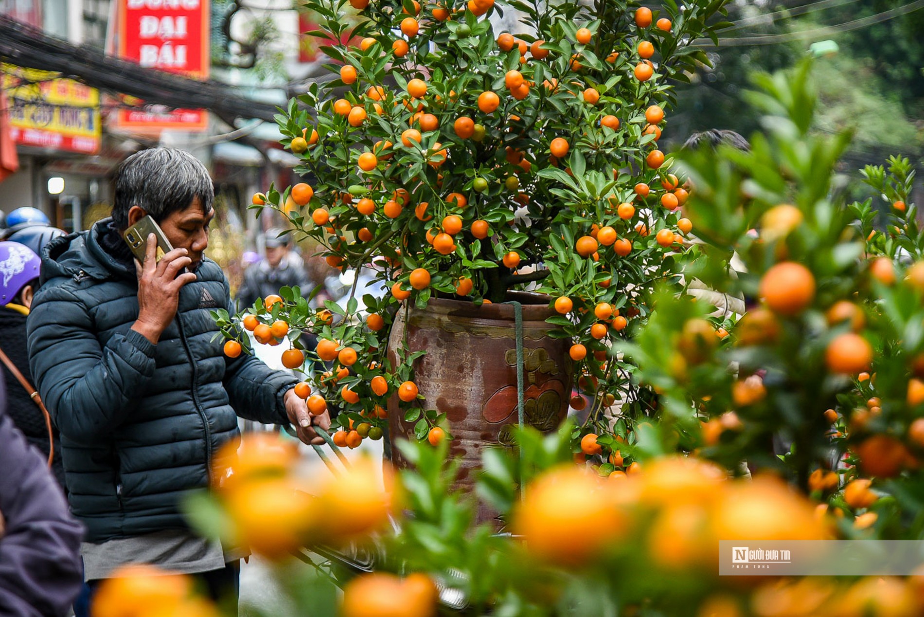 Chợ hoa phố Hoàng Hoa Thám nhộn ngày cuối năm - Ảnh 1