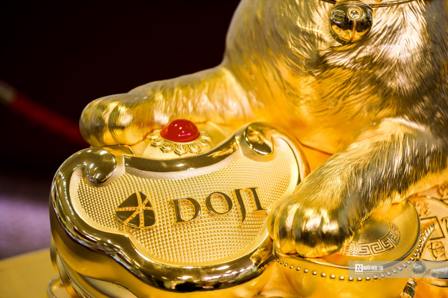 Bàn chân mèo đặt lên những đồng tiền vàng mang ý nghĩa, ước mong về một năm mới phát tài, phát lộc, cuộc sống đủ đầy.