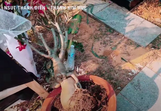 Gia đình cố nghệ sĩ Vũ Linh xin lỗi khi YouTuber vô ý thức, đụng chạm đến phần nộ của cố nghệ sĩ Thanh Kim Huệ 2 Gia đình cố nghệ sĩ Vũ Linh xin lỗi khi YouTuber vô ý thức, đụng chạm đến phần nộ của cố nghệ sĩ Thanh Kim Huệ 2