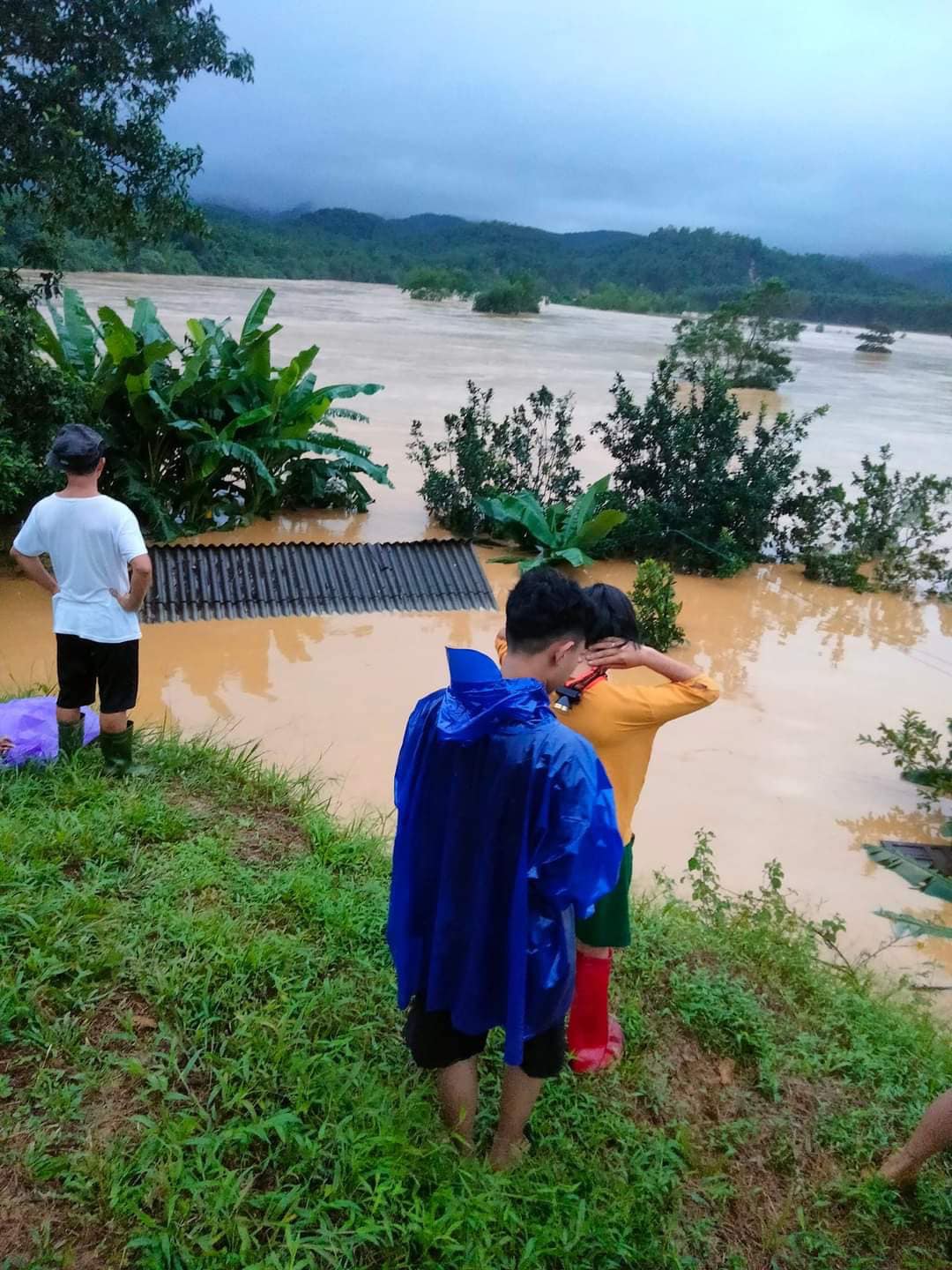 CHÙM ẢNH: Nghệ An nước ngập sâu chạm nóc nhà, người dân nháo nhác di dời vật nuôi, đường xá tan hoang