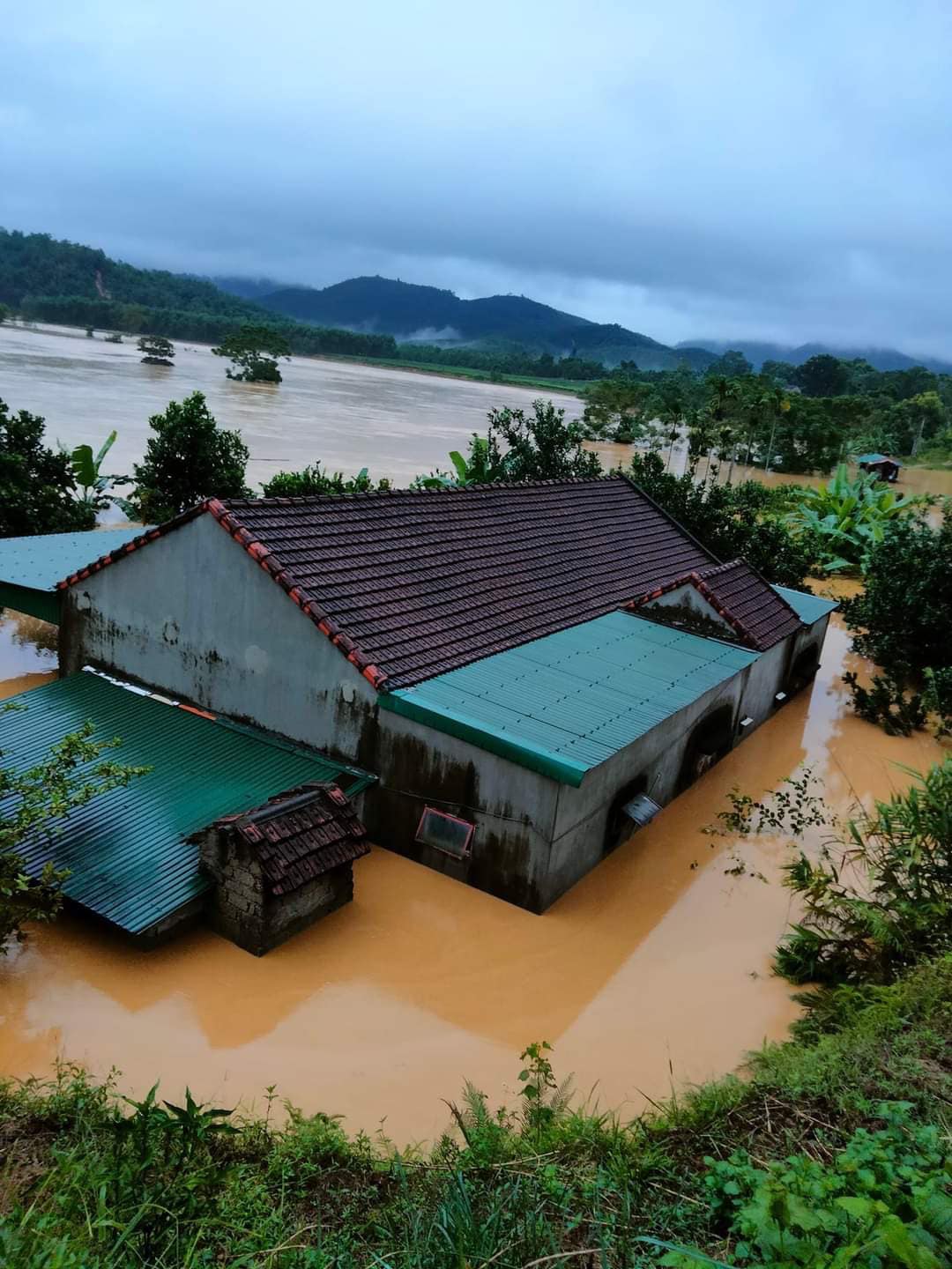 CHÙM ẢNH: Nghệ An nước ngập sâu chạm nóc nhà, người dân nháo nhác di dời vật nuôi, đường xá tan hoang