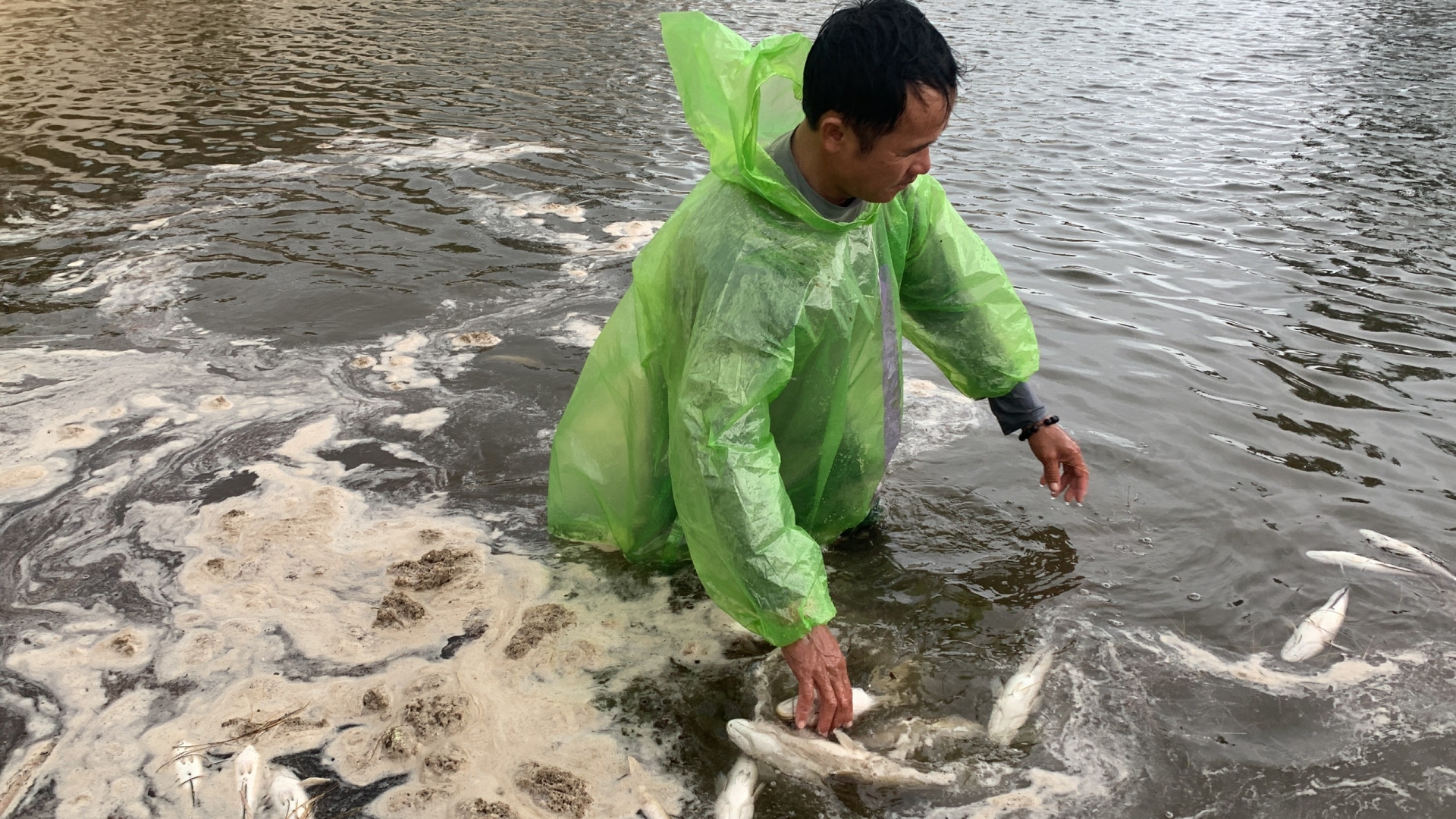 Cả ngày hôm nay, ông Võ Văn Điền quên ăn xuống hồ vớt cá.