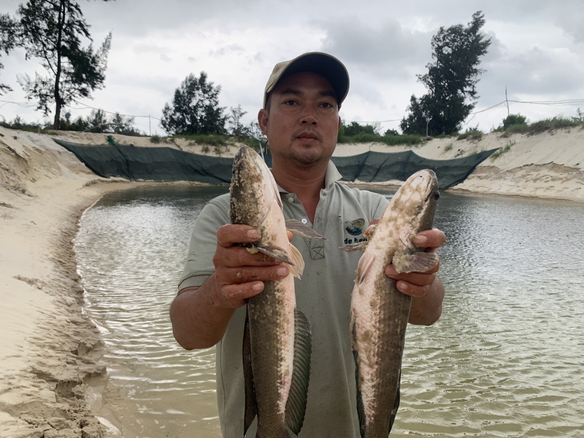 Ông Trần Quang Nguyên vớt cá lên bờ để đi bán, vớt vát được đồng nào hay đồng ấy.