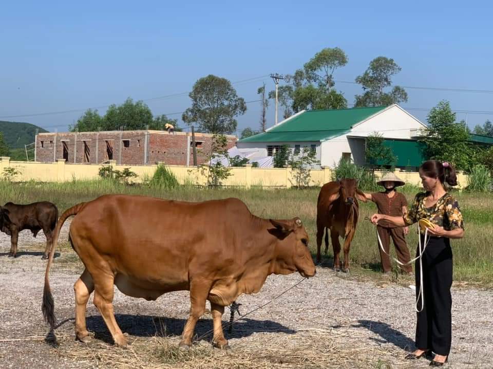 Hội thi đặc biệt này đã tạo không khí sôi nổi, thi đua sản xuất. Ảnh: Tổng hợp MXH