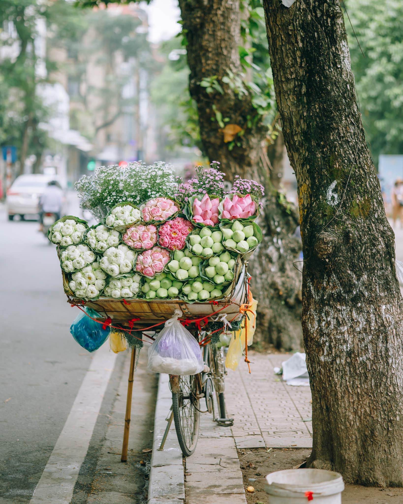 Trót ‘say’ mùa thu Hà Nội