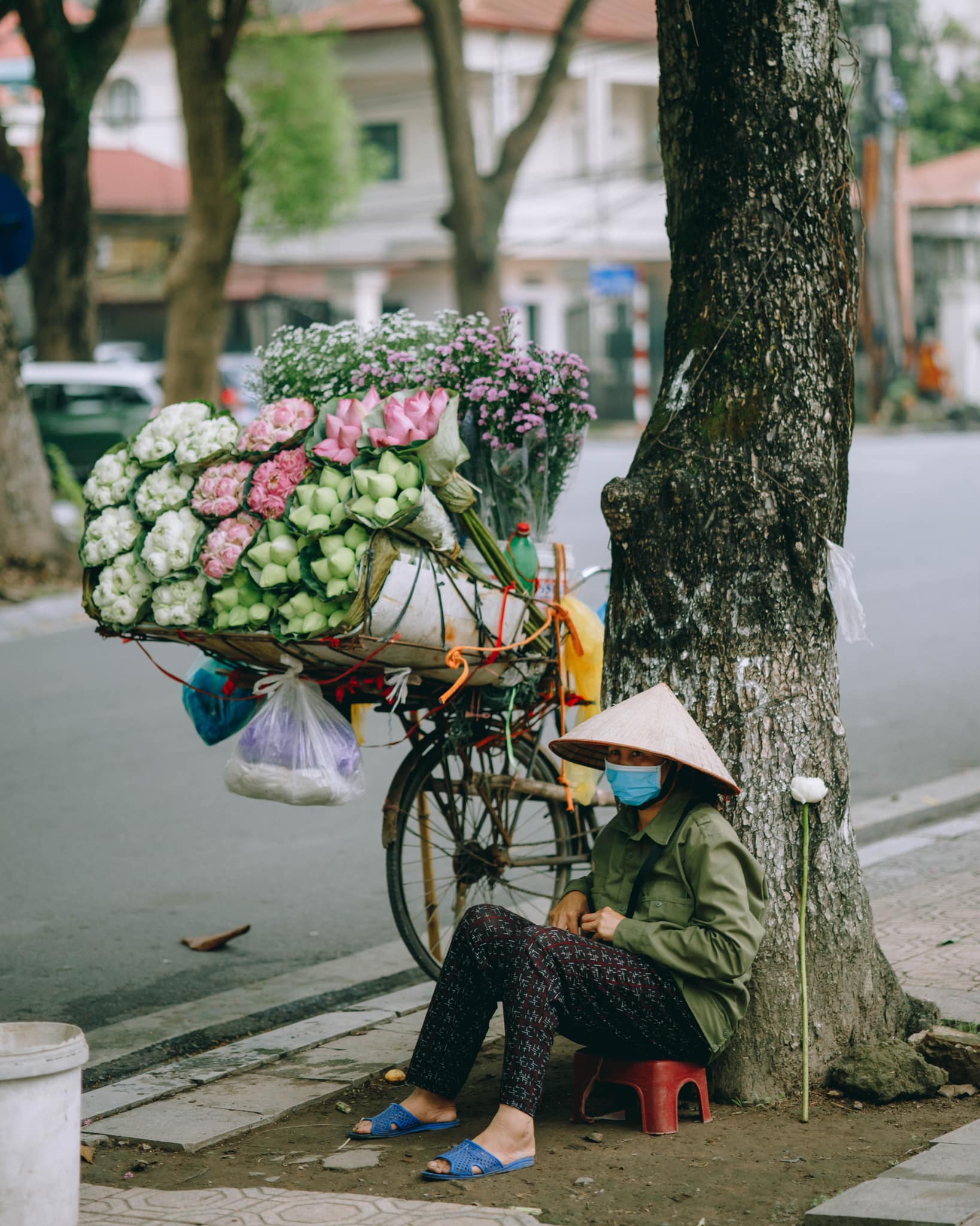 Trót ‘say’ mùa thu Hà Nội