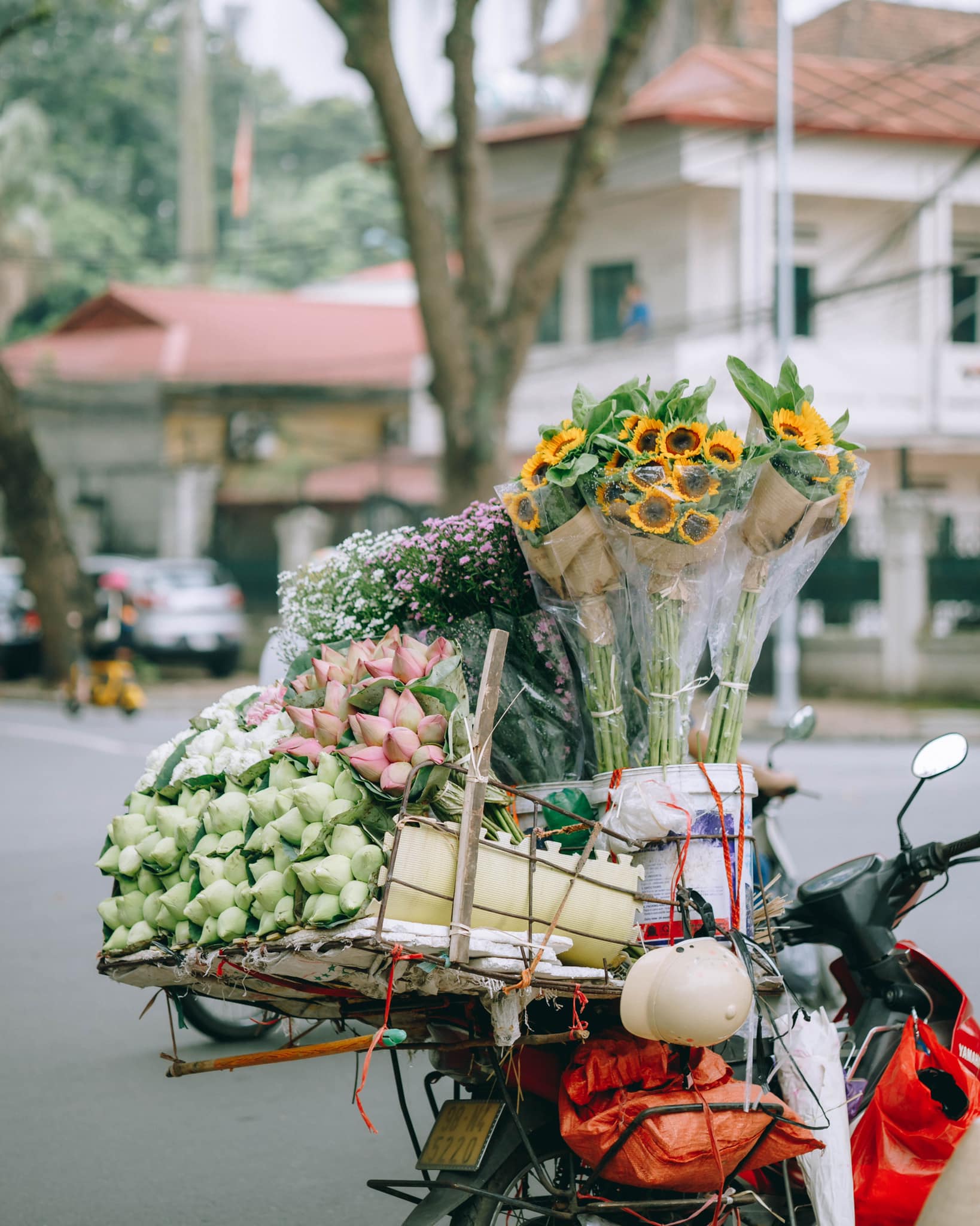 Trót ‘say’ mùa thu Hà Nội