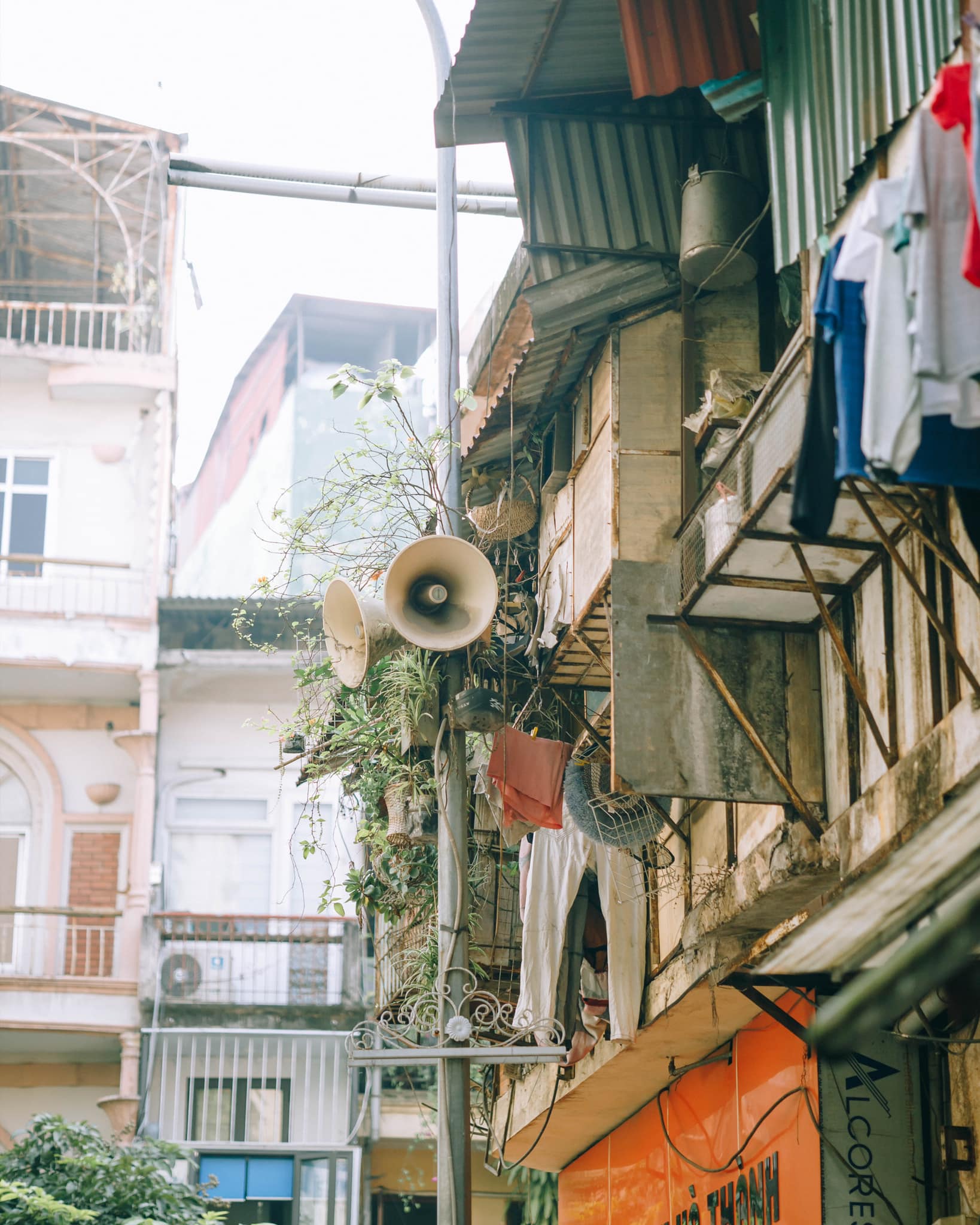 Trót ‘say’ mùa thu Hà Nội