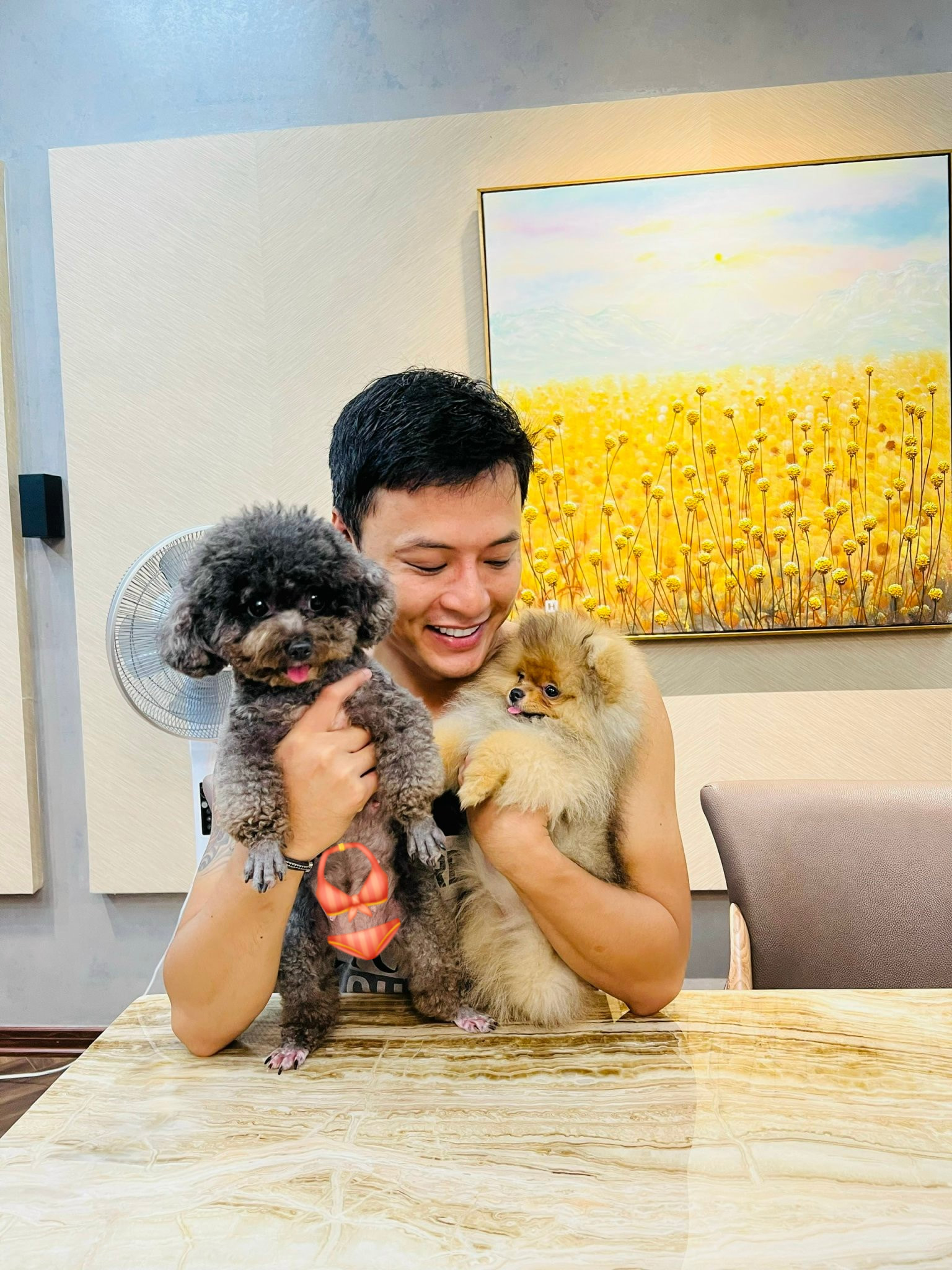 Hồ Hoài Anh - Hồng Đăng sau ồn ào trời Tây: Lần lượt lộ diện nhưng vẫn chưa thể làm điều này - Ảnh 3