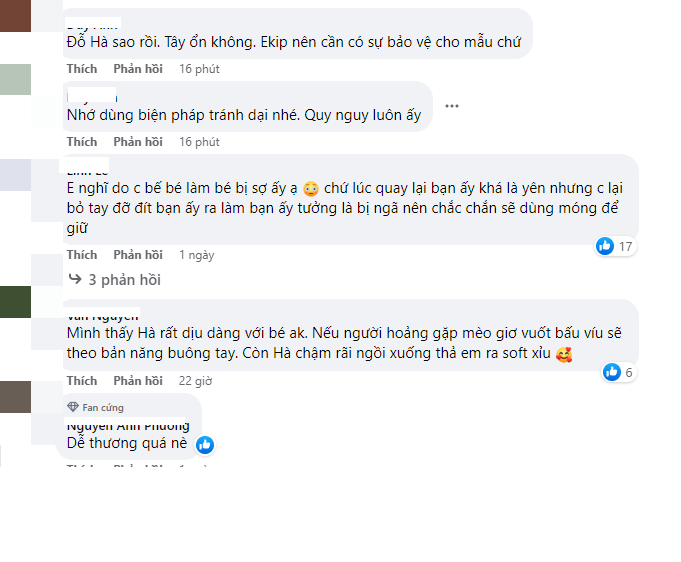 Khán giả bày tỏ lo lắng cho vết thương của Đỗ Thị Hà sau sự cố bị mèo cấu, mong muốn cô cần chú ý đảm bảo sức khỏe.