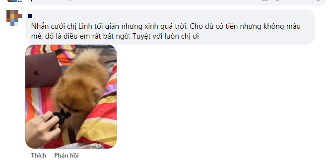 CDM khen ngợi sự tối giản của Đỗ Mỹ Linh dưới một bài viết của nàng hậu