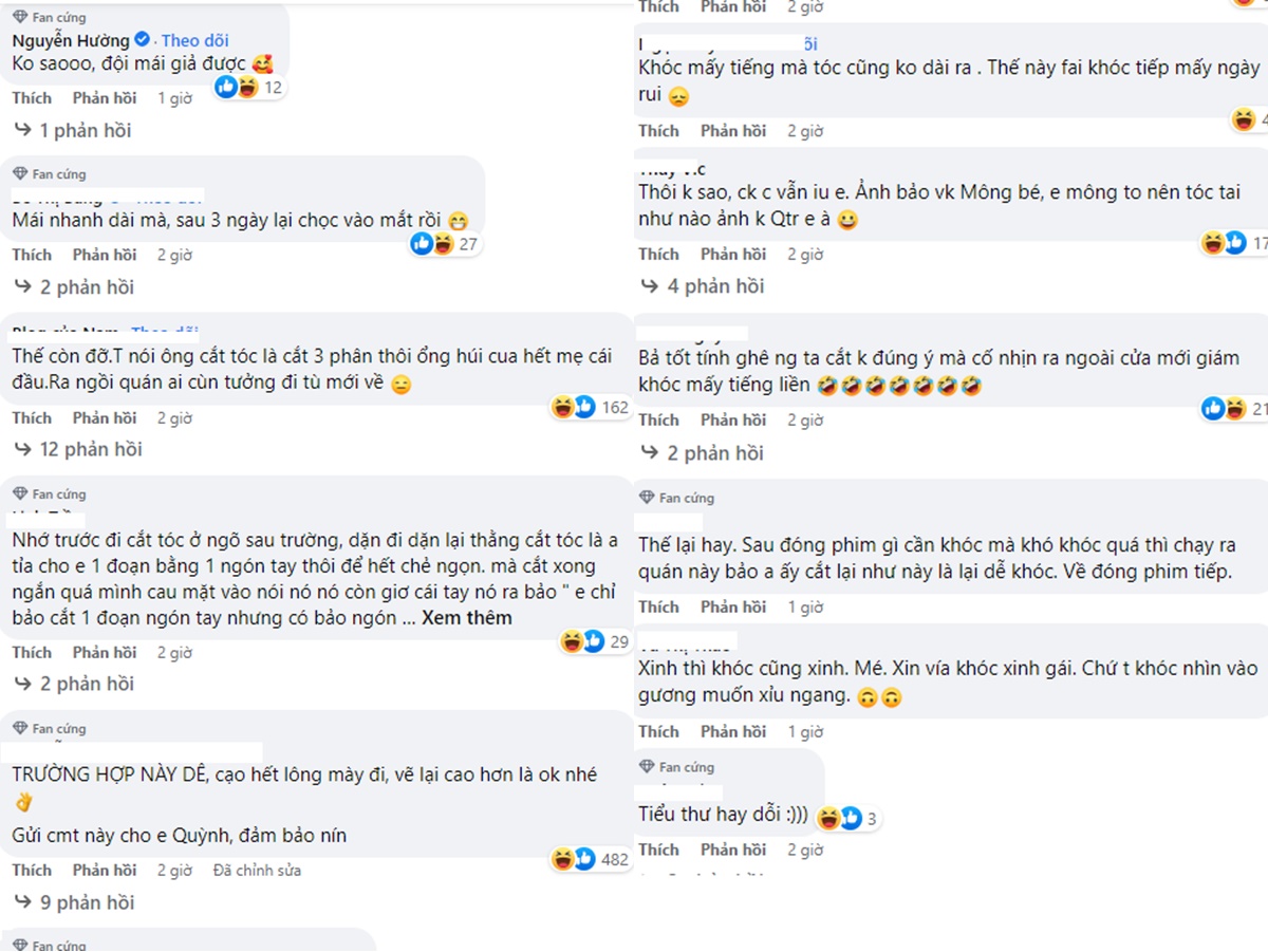Cư dân mạng dở khóc, dở cười trước sự cố của Quỳnh Kool