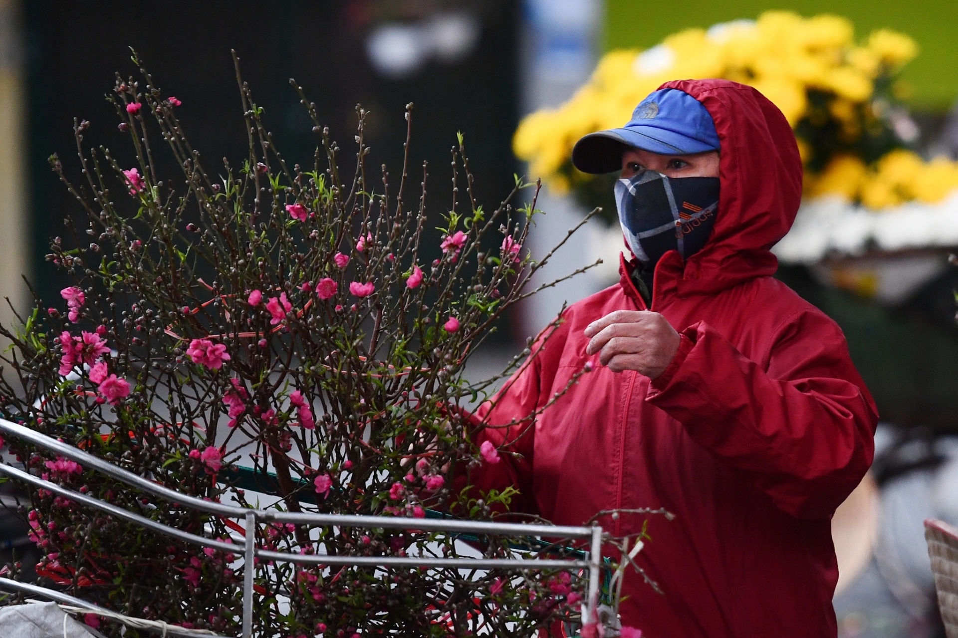 Sau ngày 21/12 khu vực Bắc Bộ tiếp tục rét nhưng nền nhiệt tăng dần. Ảnh minh họa: Dân Trí